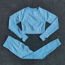 Seamless Yoga Set Women Leggings Crop Top