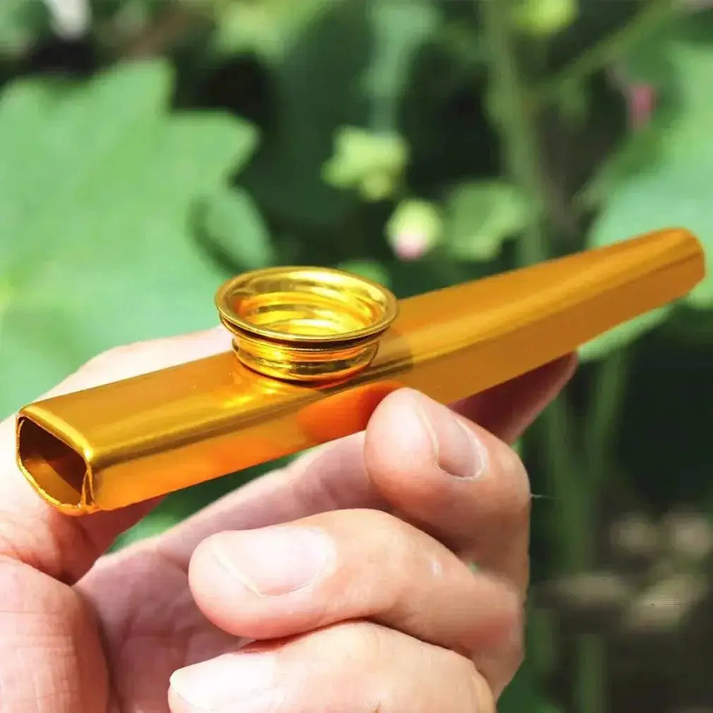 Metal Kazoos For Guitar Players Musical Instrument Set