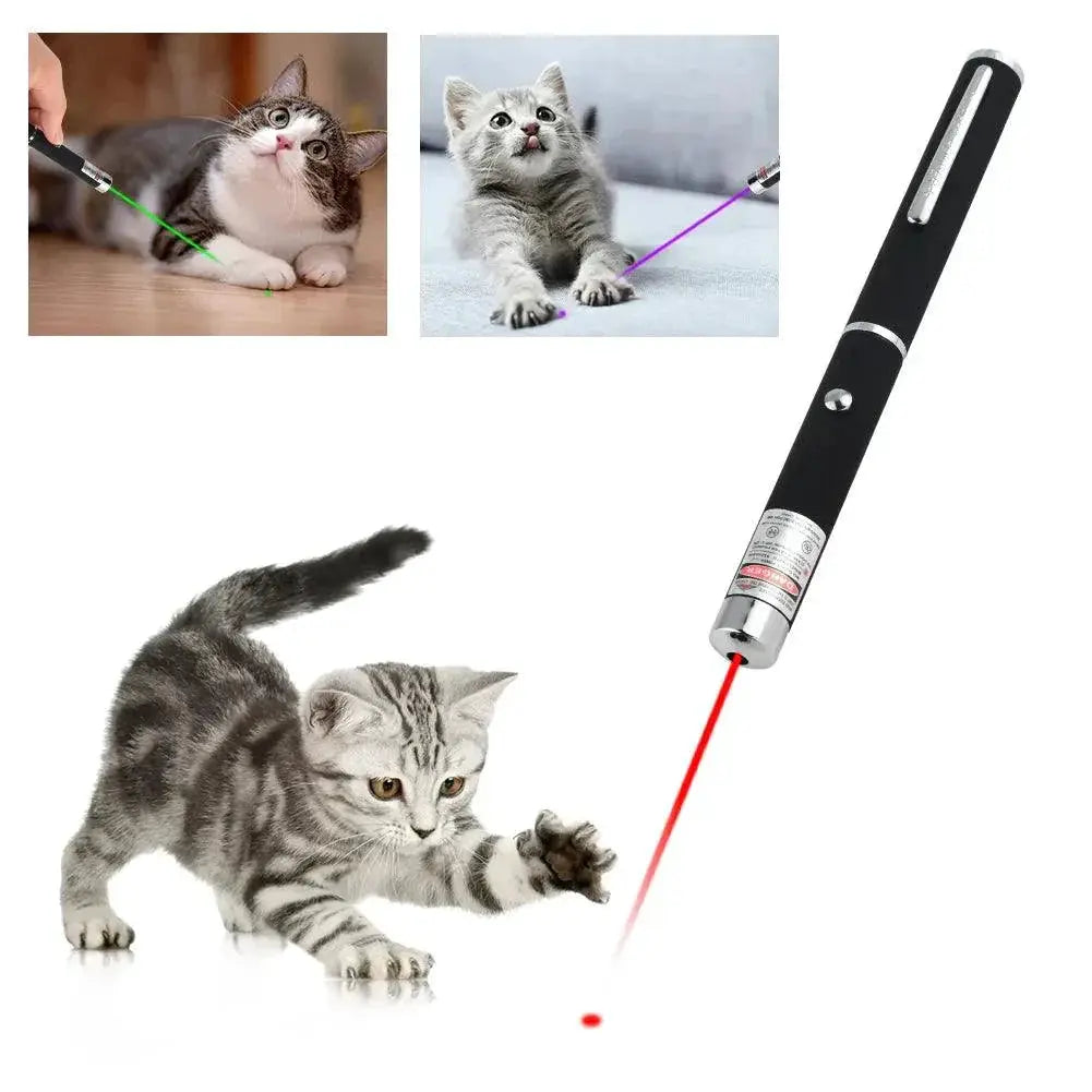 Laser Pointer Interactive Pet Toy And Office Pen Tool