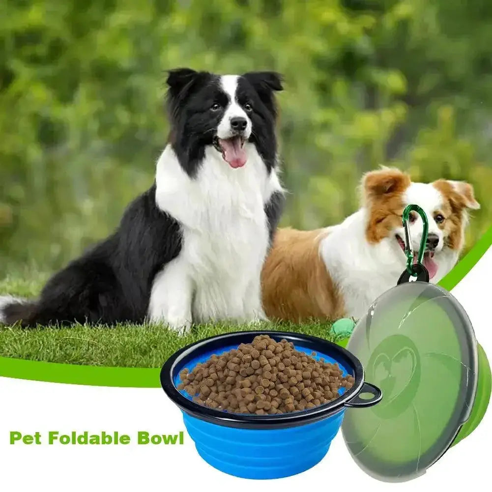 Collapsible Silicone Travel Dog Bowl With Lid And Carabiner