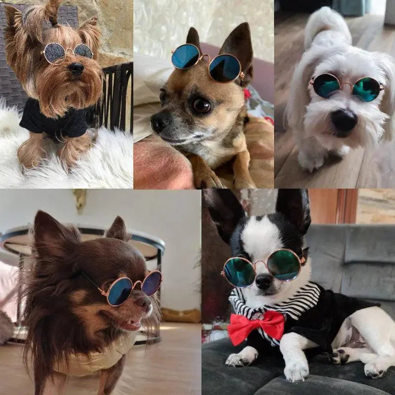 Trendy Pet Sunglasses for Cats and Small Dogs UV Protection