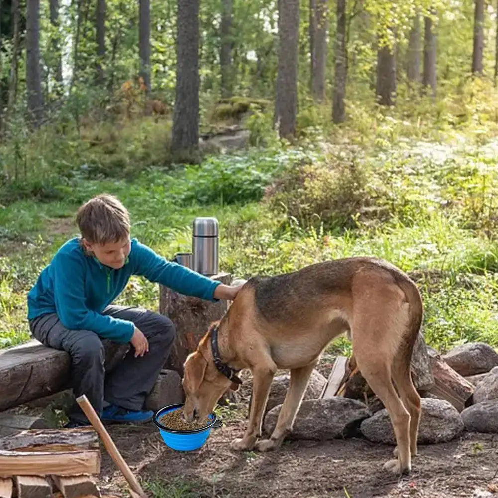 Collapsible Silicone Travel Dog Bowl With Lid And Carabiner