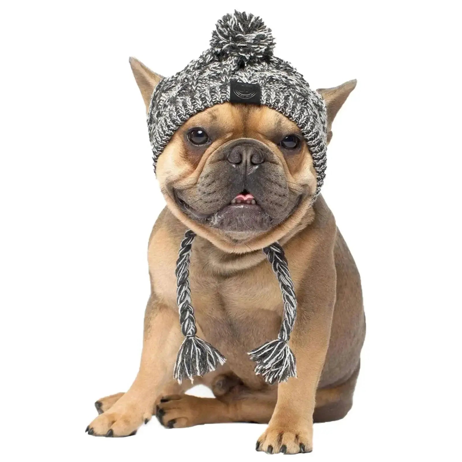 Winter Dog Hats Knitting For French Bulldog And Chihuahua