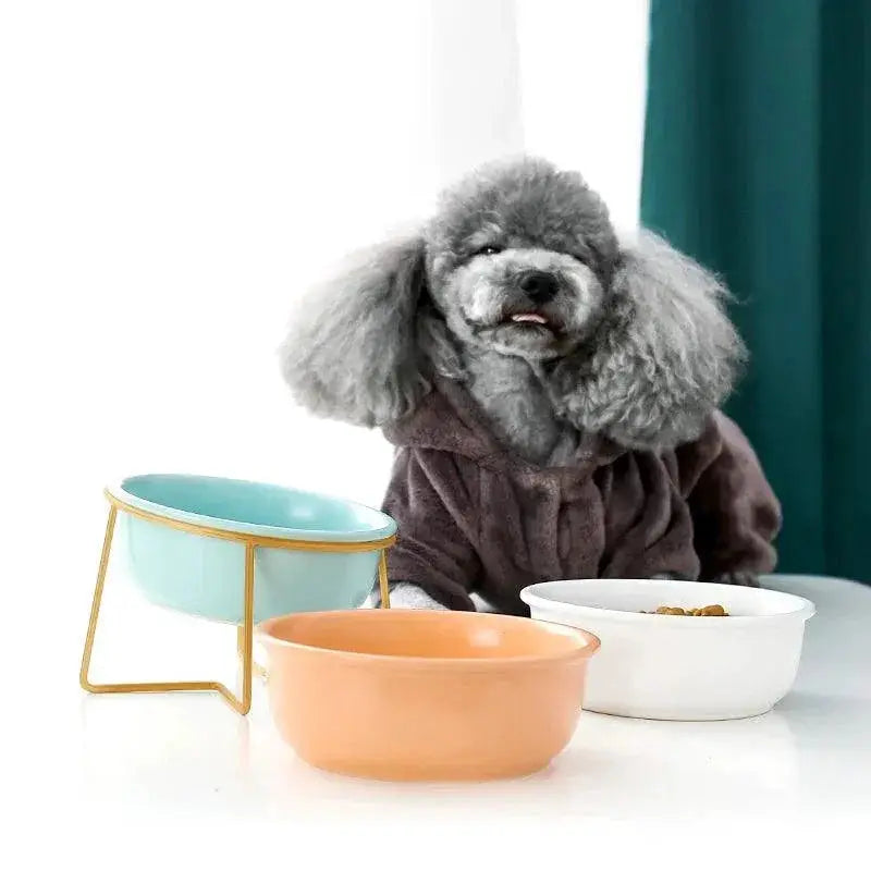 Ceramic Cat Bowl With Raised Stand Stylish Pet Feeder