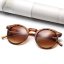 Trendy Retro Oval Frame Sunglasses for Women Fashion Eyewear