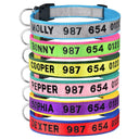 Embroidered Personalized Nylon Dog Collar for All Sizes