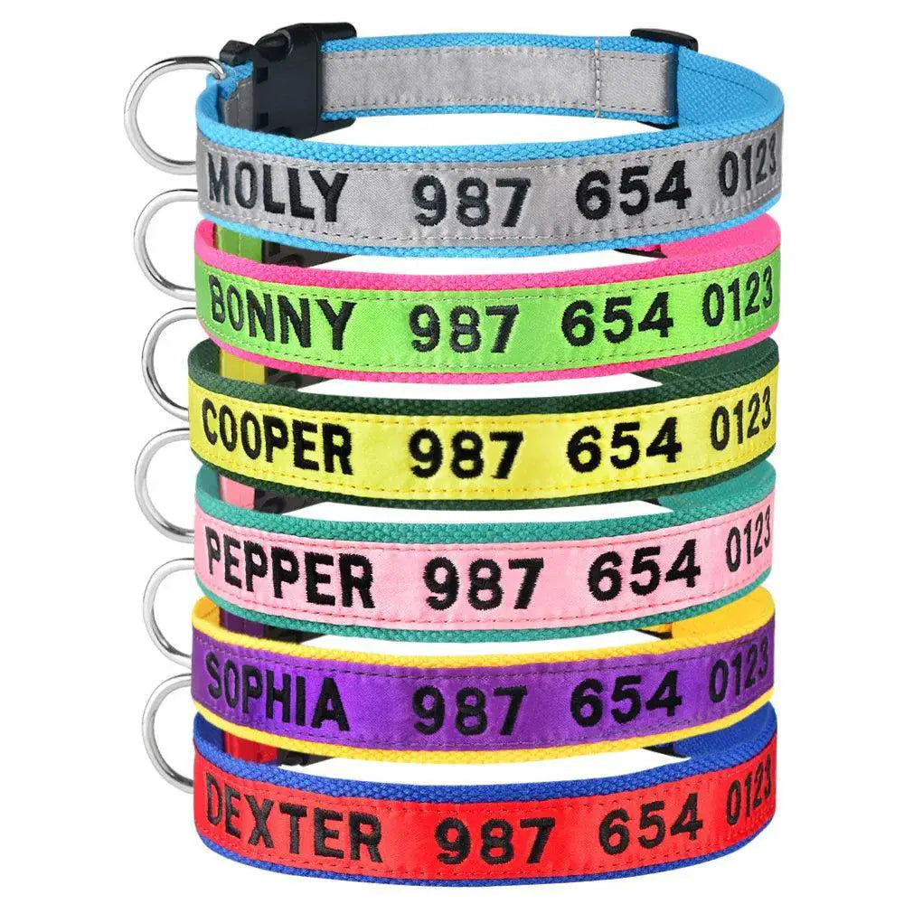 Embroidered Personalized Nylon Dog Collar All Sizes