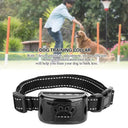 Ultrasonic Bark Collar Stops Barking