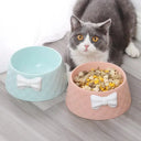 Non-Slip Pet Bowl for Dogs and Cats