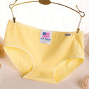 Colorful Cotton Panties Set for Women Premium Underwear