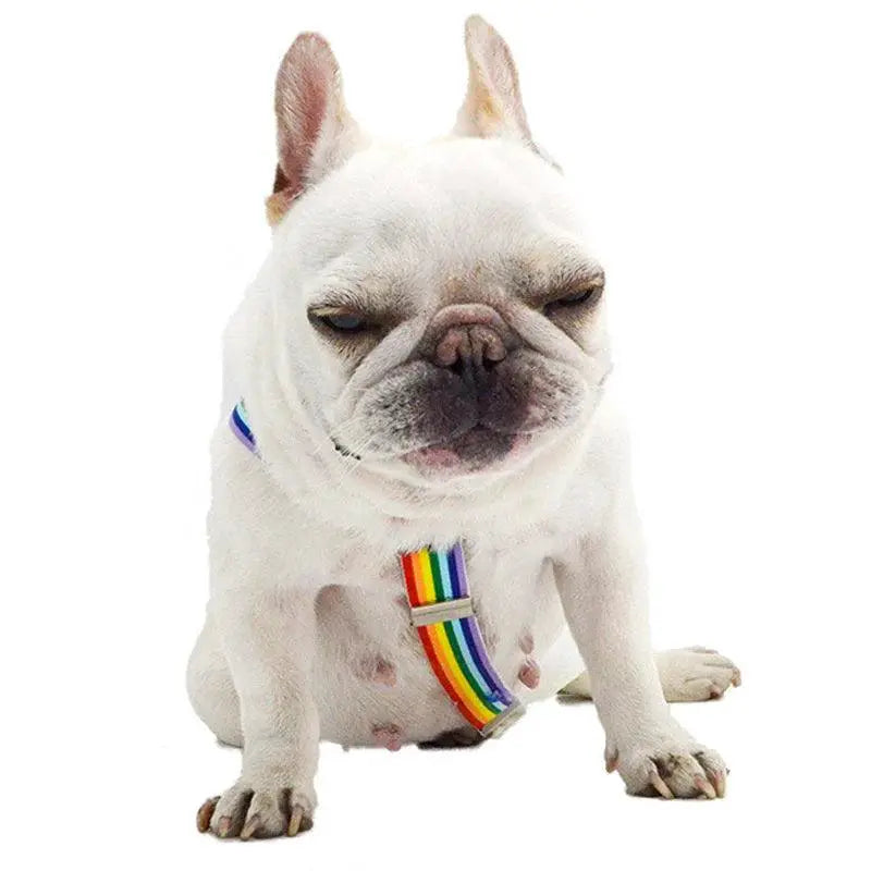 Rainbow Stripe Dog Diaper Suspenders For Pet Clothing