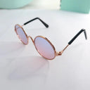 Trendy Pet Sunglasses for Cats and Small Dogs Look Stylish