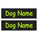 Reflective Dog ID Tag for Night Safety