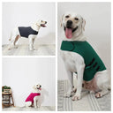 Calming Dog Anxiety Vest for Storms