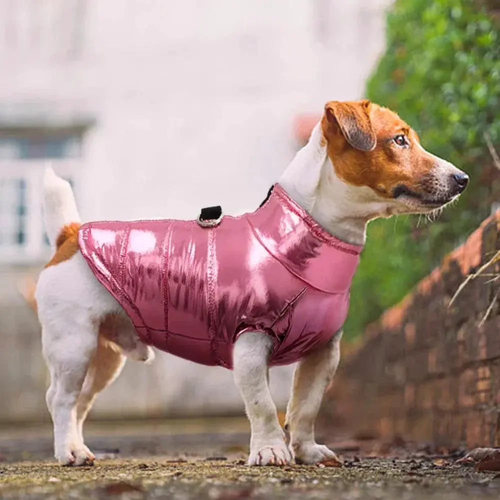Waterproof Reflective Dog Vest with Harness Winter Jacket