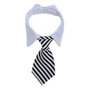 Pet Bow Tie Collar for Stylish Occasions