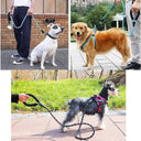 Safe Walking Leash for Golden Retrievers