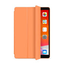 2021 iPad Pro Case with Auto Sleep Wake Drop Protection
