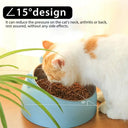 Heat Pet Bowl Temperature-Controllable Dog Water Dispenser