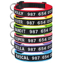 Embroidered Personalized Nylon Dog Collar for All Sizes