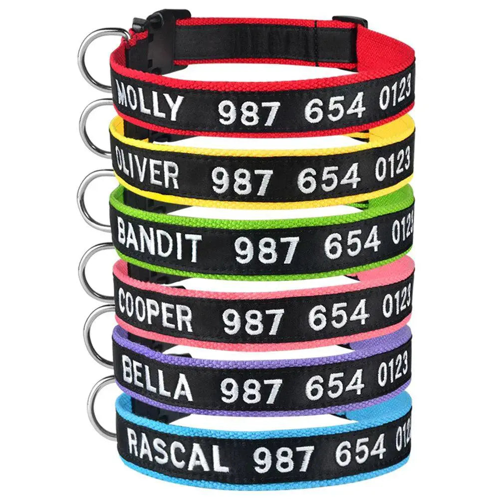 Embroidered Personalized Nylon Dog Collar All Sizes