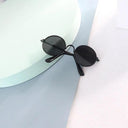 Trendy Pet Sunglasses for Cats and Small Dogs Look Stylish