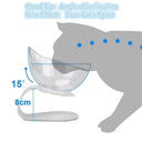 Ergonomic Cat Bowls for Healthy Eating