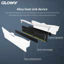Gloway RGB Desktop RAM: Elevate Gaming Performance