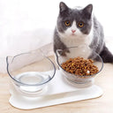 Ergonomic Cat Bowls for Healthy Eating