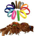Soft Nylon Dog Collar Set For Daily Wear