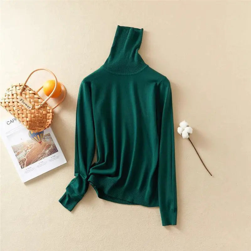 Marwin And Friend Knit Turtleneck Winter Sweater For Women