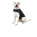 Calming Dog Anxiety Vest for Storms