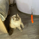 Feather Teaser Wand Cat Toy for Exercise