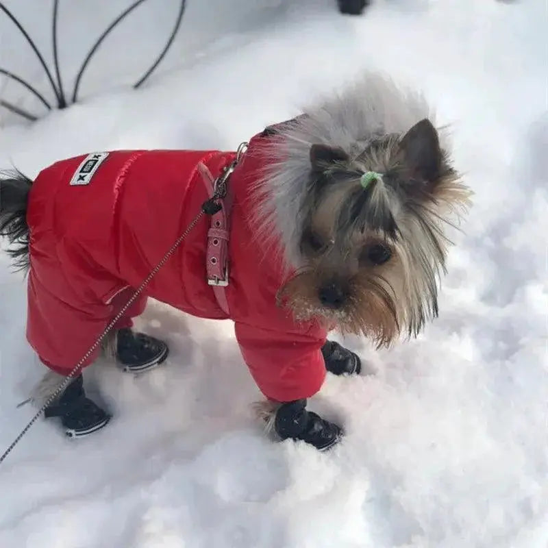 Winter Dog Down Coat Waterproof Warm Jumpsuit For Chihuahua