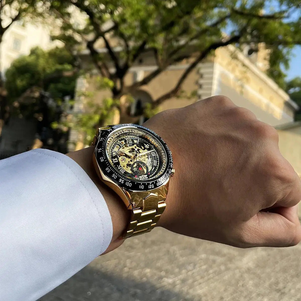 Luxury Skeleton Dial Sport Watch Self Winding Movement