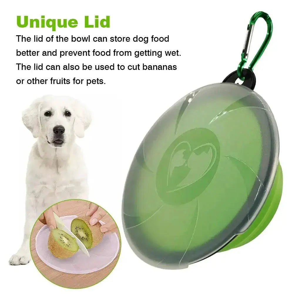 Collapsible Silicone Travel Dog Bowl With Lid And Carabiner
