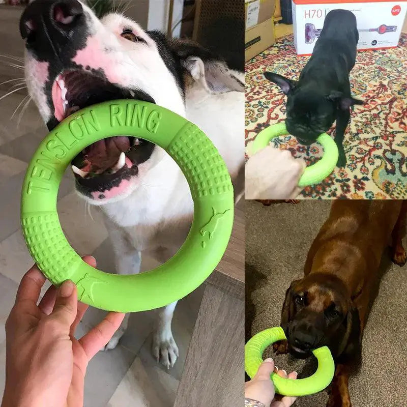 Big Dog Interactive Ring Puller Flying Disc Toy Active Play
