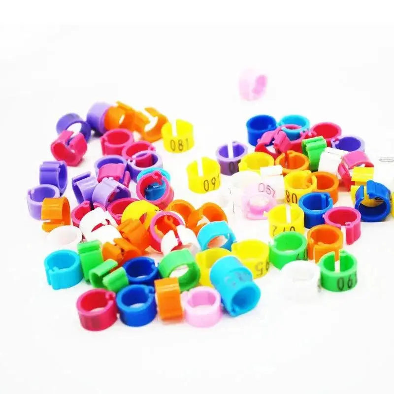 Pigeon Training Leg Bands Colorful Plastic Bird Tags 100 Pcs