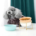 Ceramic Cat Bowl with Raised Stand Stylish Feeder for Pets
