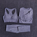 Seamless Yoga Set Women Leggings Crop Top