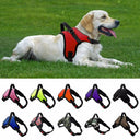 Adjustable Reflective Breathable Pet Harness with Leash