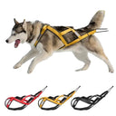Secure Dog Harness for Husky Outdoor