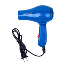 Mini Professional Hair Dryer Collecting Nozzle 220V US Plug