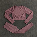 Seamless Yoga Set Women Leggings Crop Top