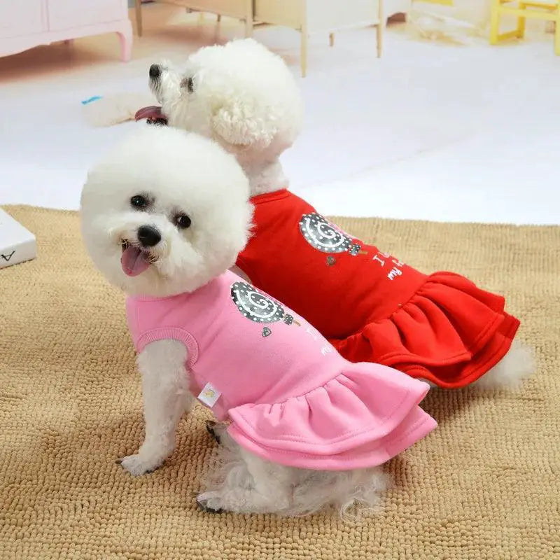 Festive Cashmere Dog Dress for Small Pets Christmas Apparel