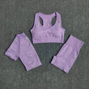 Seamless Yoga Set Women Leggings Crop Top