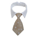 Pet Bow Tie Collar for Stylish Occasions
