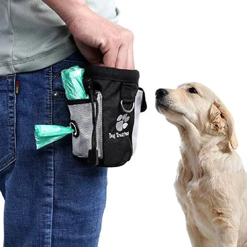 Dog Training Waist Bag For Treats Portable Pet Snack Pouch