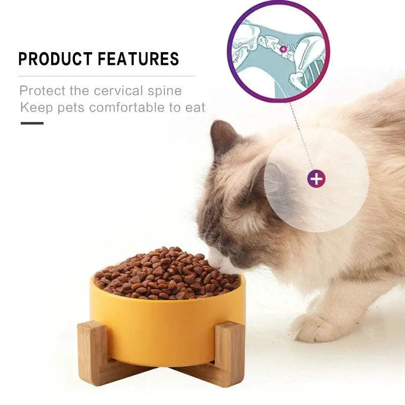 Ceramic Pet Feeding Bowls Eco Friendly Colorful Durable