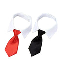 Pet Bow Tie Collar for Stylish Occasions